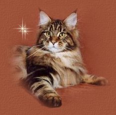 T. Ruxpin